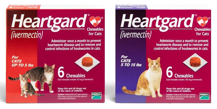 Heartgard for Cats | Advanced Veterinary Center of San Elijo